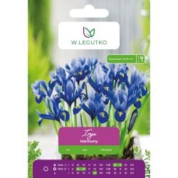 Iris - Harmony - modrá - 7 ks. - Cibule a oddenky - W. Legutko Iris - Harmony - modrá - 7 ks. - Cibule a oddenky - W. Legutko