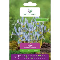 Iris - Katharine Hodgkin - modrozelená - 5 ks. - Cibule a oddenky - W. Legutko Iris - Katharine Hodgkin - modrozelená - 5 ks. - Cibule a oddenky - W. Legutko