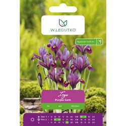 Iris - Purple Gem - fialová - 7 ks. - Cibule a oddenky - W. Legutko Iris - Purple Gem - fialová - 7 ks. - Cibule a oddenky - W. Legutko