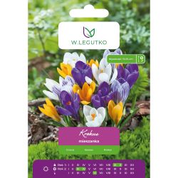 Crocus - Chrysanthus - mix - 7 ks. - Cibule a oddenky - W. Legutko Crocus - Chrysanthus - mix - 7 ks. - Cibule a oddenky - W. Legutko
