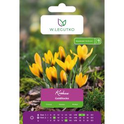 Crocus - Zlatovláska - Chrysanthus - žlutá - 7 ks. - Cibule a oddenky - W. Legutko Crocus - Zlatovláska - Chrysanthus - žlutá - 7 ks. - Cibule a oddenky - W. Legutko