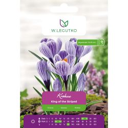 Krokus - Král pruhovaných - Vernus - modrý - 7 ks. - Cibule a oddenky - W. Legutko Krokus - Král pruhovaných - Vernus - modrý - 7 ks. - Cibule a oddenky - W. Legutko