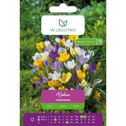 Crocus - Vernus - mix - 7 ks. - Cibule a oddenky - W. Legutko Crocus - Vernus - mix - 7 ks. - Cibule a oddenky - W. Legutko