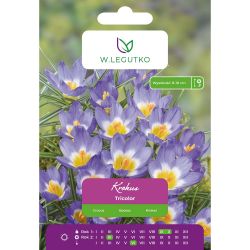 Crocus - Tricolor - Sieberi - žluto-bílo-fialový - 10 ks. - Cibule a oddenky - W. Legutko Crocus - Tricolor - Sieberi - žluto-bílo-fialový - 10 ks. - Cibule a oddenky - W. Legutko