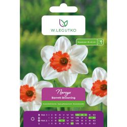 Narcis - Barrett Browning - jemná krajka - bílá - 4 ks. - Cibule a oddenky - W. Legutko Narcis - Barrett Browning - jemná krajka - bílá - 4 ks. - Cibule a oddenky - W. Legutko