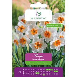 Narcis - Broadway Star - Split Corona - bílá - 3 ks. - Cibule a oddenky - W. Legutko Narcis - Broadway Star - Split Corona - bílá - 3 ks. - Cibule a oddenky - W. Legutko