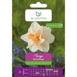 Narcis - Delnashaugh - plný - bílý - 4 ks. - Cibule a oddenky - W. Legutko Narcis - Delnashaugh - plný - bílý - 4 ks. - Cibule a oddenky - W. Legutko