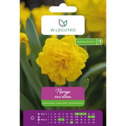 Narcis - Dick Wilden - plný - žlutý - 4 ks. - Cibule a oddenky - W. Legutko Narcis - Dick Wilden - plný - žlutý - 4 ks. - Cibule a oddenky - W. Legutko