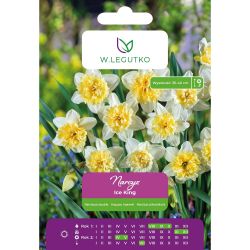 Narcis - Ledový král - plný - bílý se žlutým středem - 4 ks. - Cibule a oddenky - W. Legutko Narcis - Ledový král - plný - bílý se žlutým středem - 4 ks. - Cibule a oddenky - W. Legutko