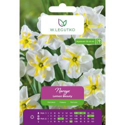 Narcis - Lemon Beauty - Split Corona - bílá - 3 ks. - Cibule a oddenky - W. Legutko Narcis - Lemon Beauty - Split Corona - bílá - 3 ks. - Cibule a oddenky - W. Legutko