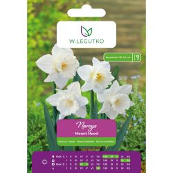Narcis - Mount Hood - trubka - bílá - 3 ks. - Cibule a oddenky - W. Legutko Narcis - Mount Hood - trubka - bílá - 3 ks. - Cibule a oddenky - W. Legutko
