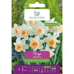 Narcis - Petit Four - plný - bílý - 3 ks. - Cibule a oddenky - W. Legutko Narcis - Petit Four - plný - bílý - 3 ks. - Cibule a oddenky - W. Legutko