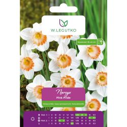 Narcis - Pink Pride - velká korunka - bílá s růžovou korunkou - 4 ks. - Cibule a oddenky - W. Legutko Narcis - Pink Pride - velká korunka - bílá s růžovou korunkou - 4 ks. - Cibule a oddenky - W. Legutko