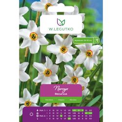 Narcis - Recurvus - Poeticus - bílý - 4 ks. - Cibule a oddenky - W. Legutko Narcis - Recurvus - Poeticus - bílý - 4 ks. - Cibule a oddenky - W. Legutko