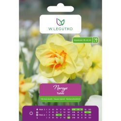 Narcis - Tahiti - plný - žlutý s červeným středem - 4 ks. - Cibule a oddenky - W. Legutko