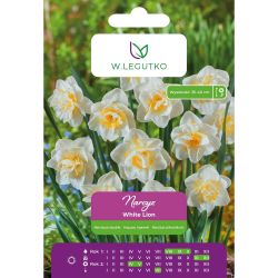 Narcis - Bílý lev - plný - bílý se žlutým středem - 4 ks. - Cibule a oddenky - W. Legutko Narcis - Bílý lev - plný - bílý se žlutým středem - 4 ks. - Cibule a oddenky - W. Legutko
