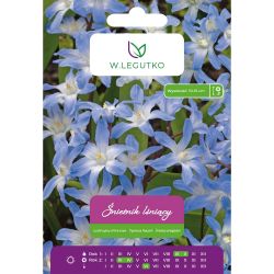 Lesklá vločka - modrá - 10 ks. - Cibule a oddenky - W. Legutko Lesklá vločka - modrá - 10 ks. - Cibule a oddenky - W. Legutko