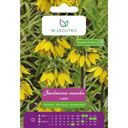 Šachovnice císařská - Lutea - žlutá - 1 ks. - Cibule a oddenky - W. Legutko Šachovnice císařská - Lutea - žlutá - 1 ks. - Cibule a oddenky - W. Legutko