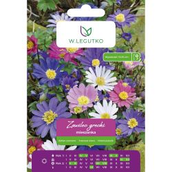 Sasanka řecká - mix - 8 ks. - Cibule a oddenky - W. Legutko Sasanka řecká - mix - 8 ks. - Cibule a oddenky - W. Legutko