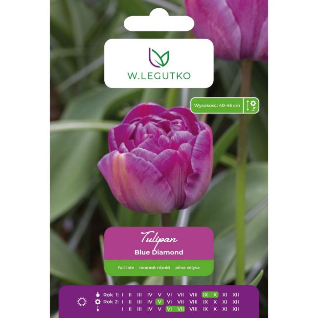 Tulipán - Blue Diamond - plný - pozdní - fialovofialový - 5 ks. - Cibule a oddenky - W. Legutko Tulipán - Blue Diamond - plný - pozdní - fialovofialový - 5 ks. - Cibule a oddenky - W. Legutko